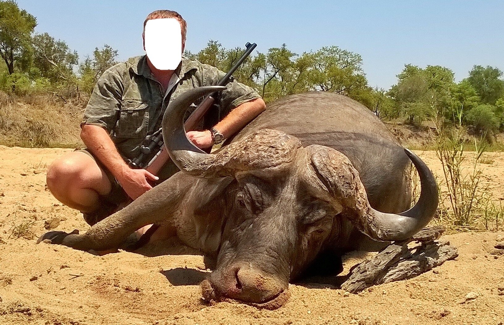 Auf starke Daggaboys im südafrikanischen Buschveld! - Bild 1