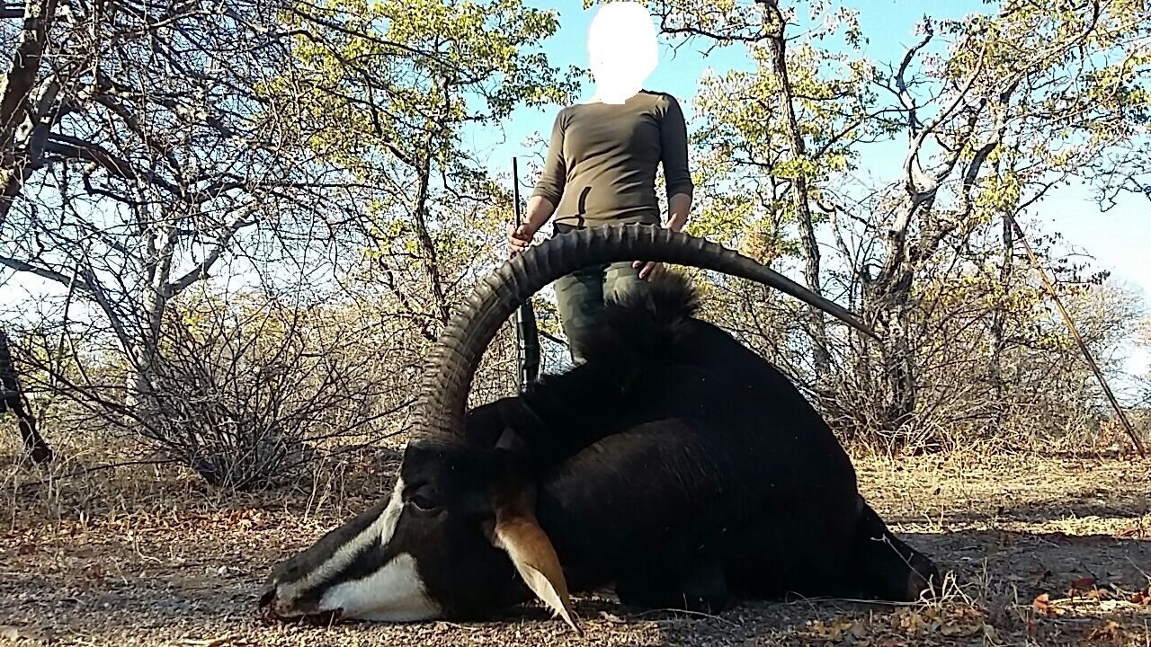 Auf Büffel und Krokodile im Limpopo Valley! - Bild 1