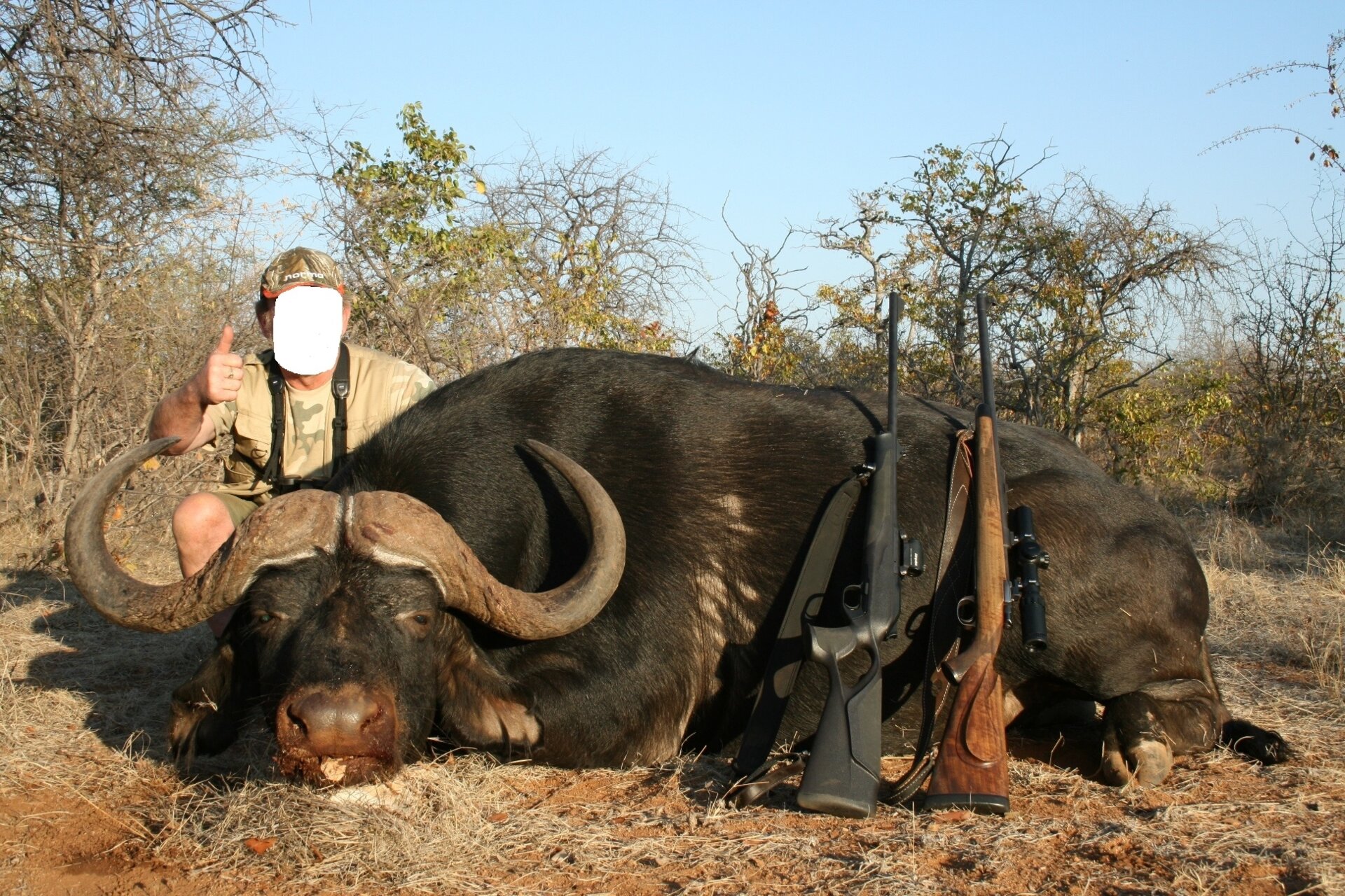 Auf Büffel und Krokodile im Limpopo Valley! - Bild 2