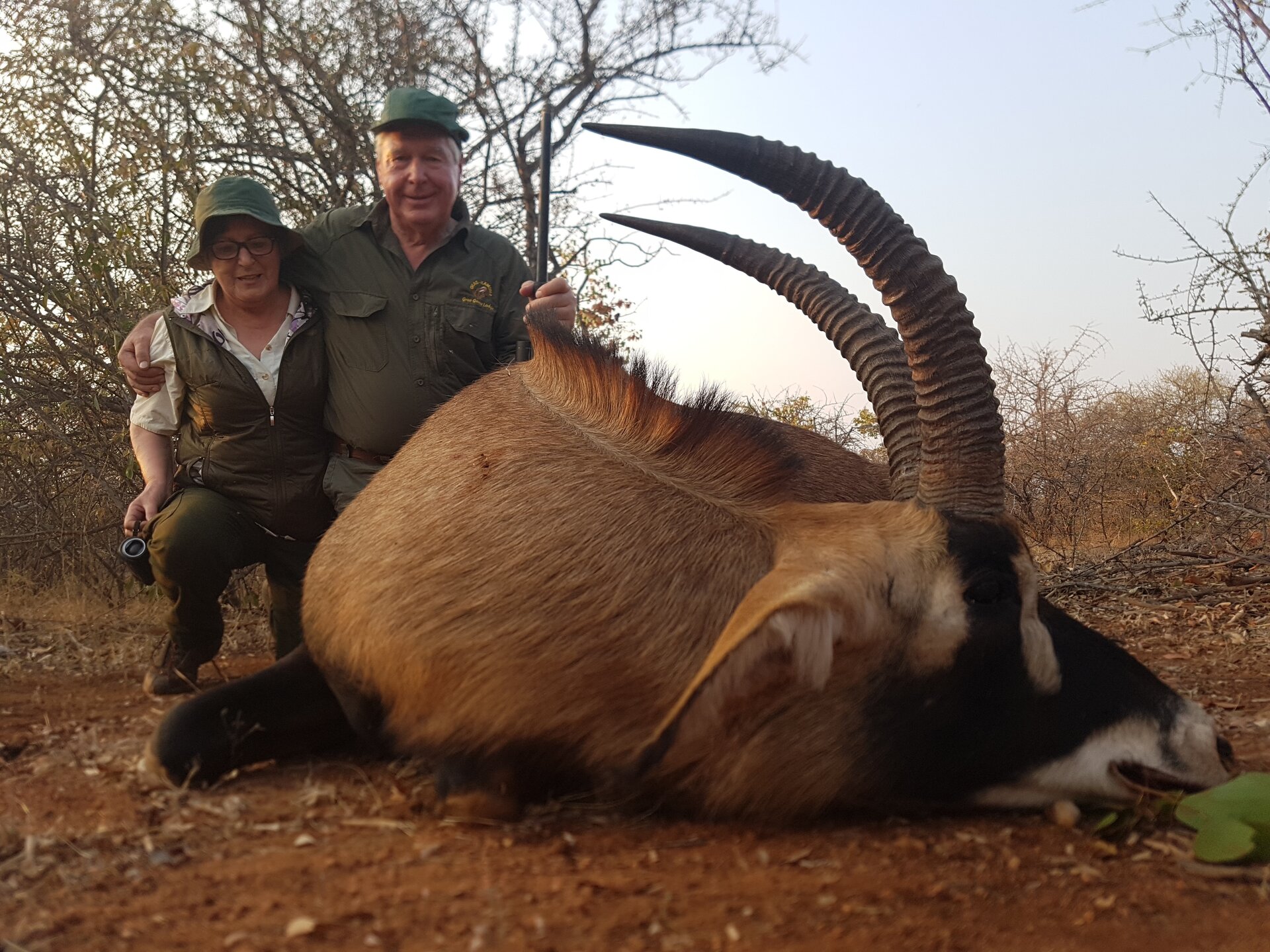 Jagen auf einen starken Rappen- und Roanbullen! - Bild 2