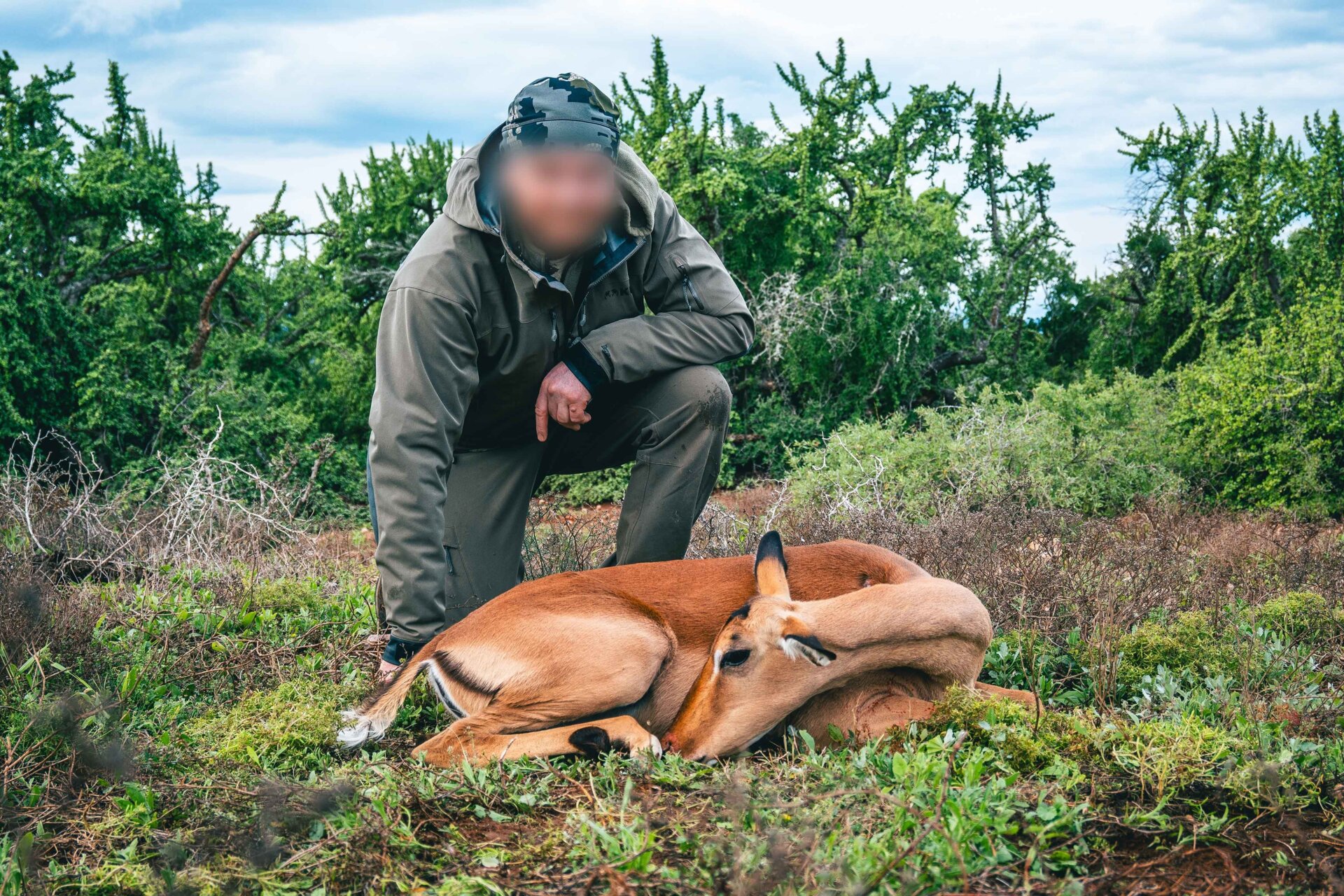 Reduktionsjagd auf Kleinantilopen in der Eastern Cape-Region! - Bild 2