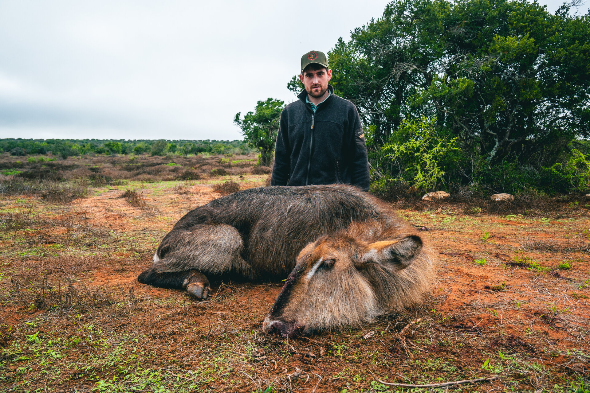 Reduktionsjagdpaket der Extraklasse! Gut für 2 Jagdfreunde in der Eastern Cape-Region! - Bild 3
