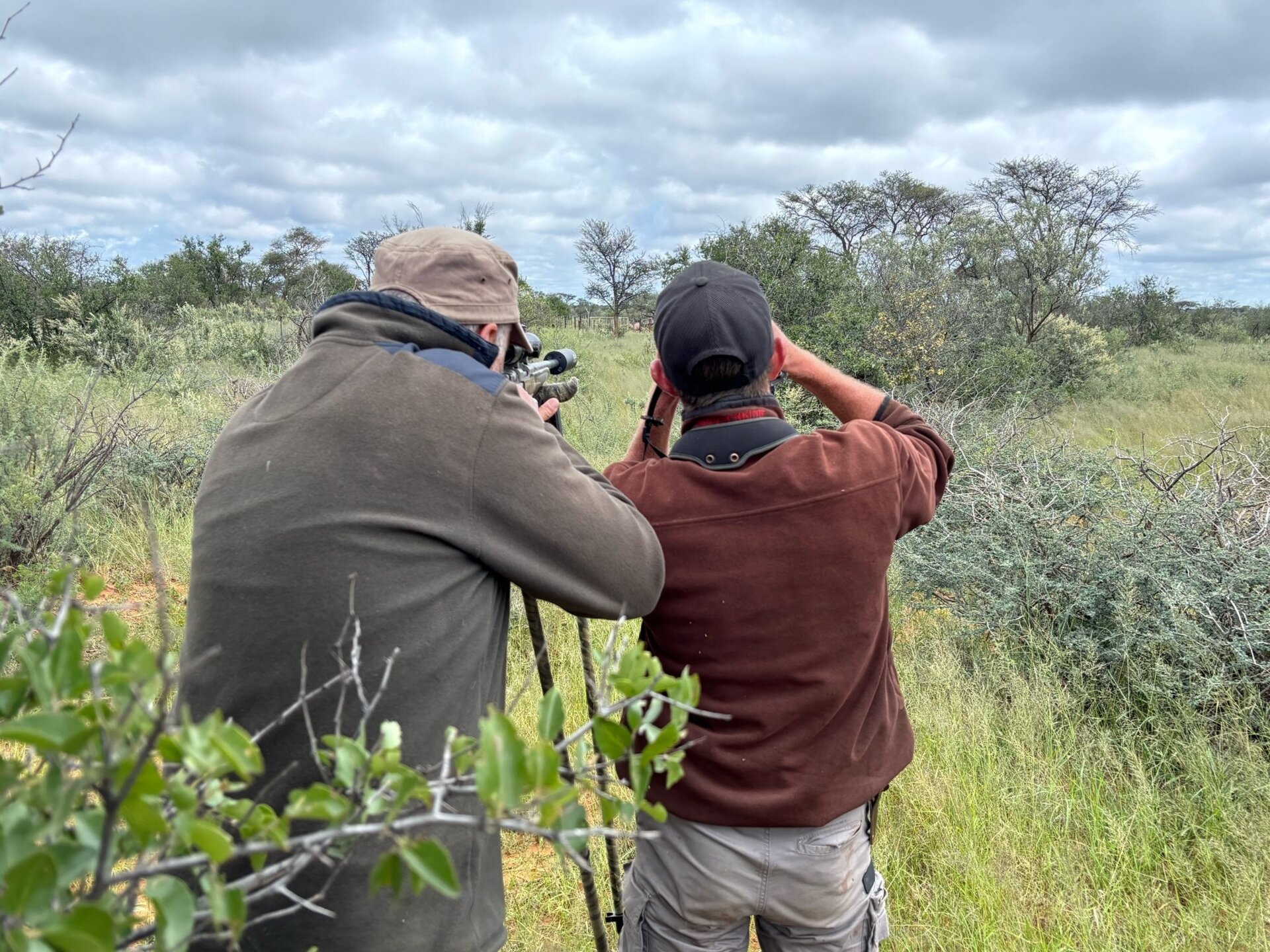 Reduktionsjagd Namibia