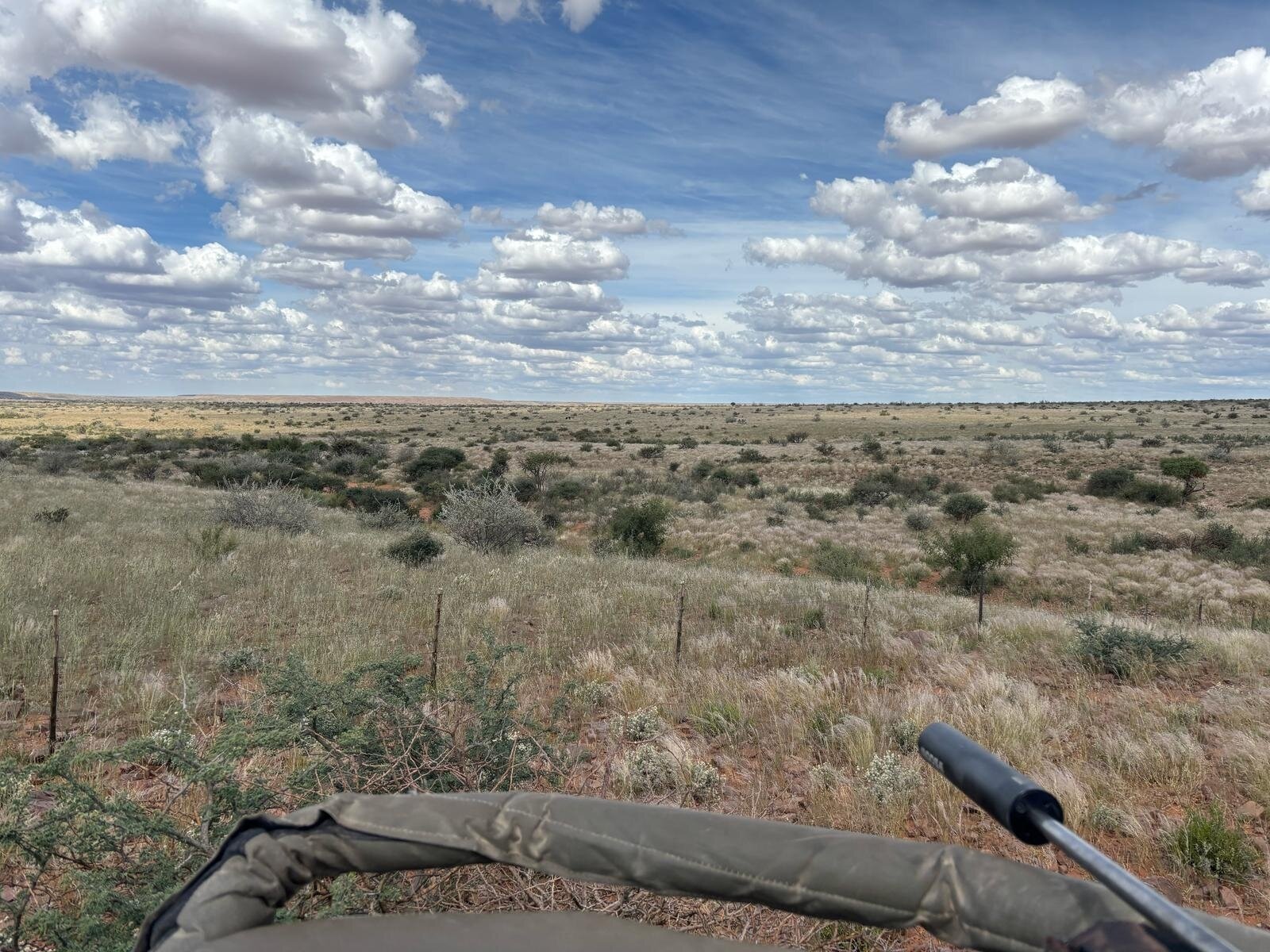 Reduktionsjagd Namibia