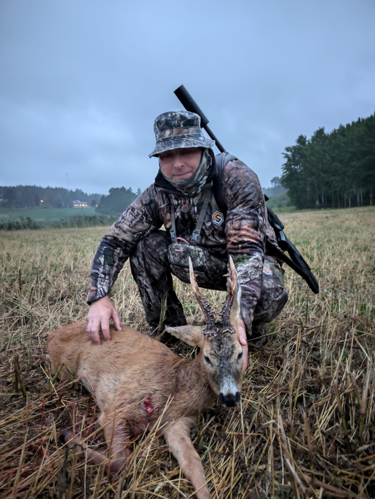 Rehbock - Äland - Finnland - Bild 1