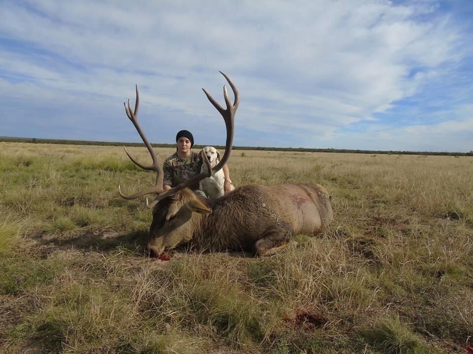 Rot- und Damhirsch-Jagd - Bahia Blanca - Argentinien - Bild 3