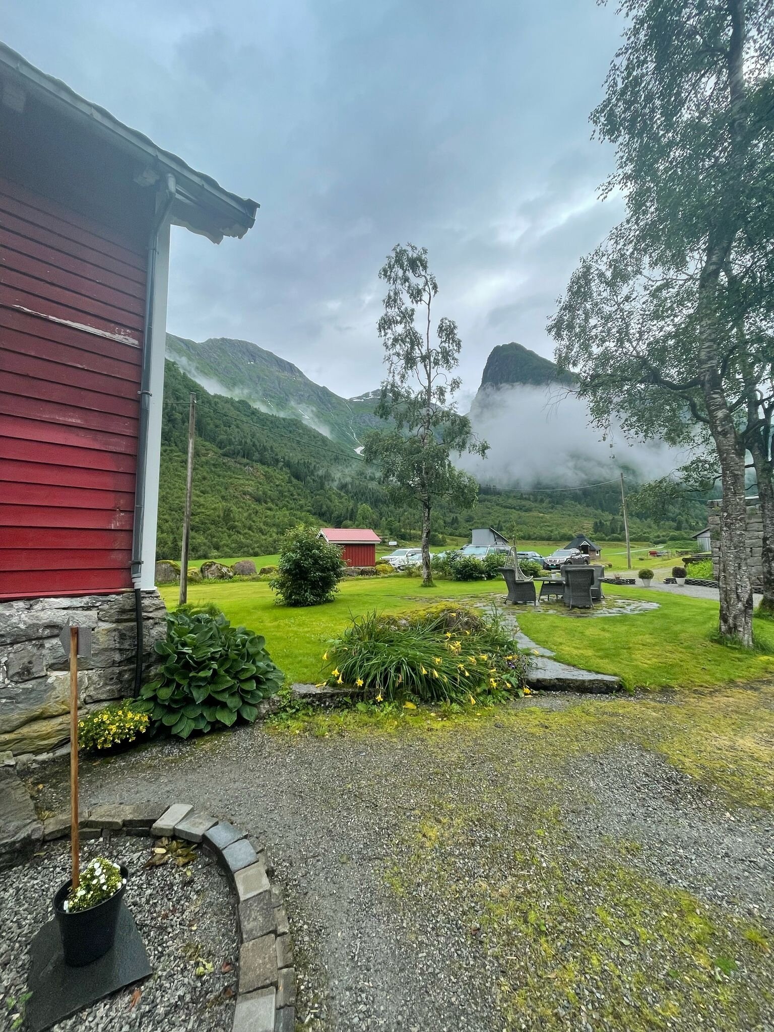 Rothirsch - Norwegen - Bild 2