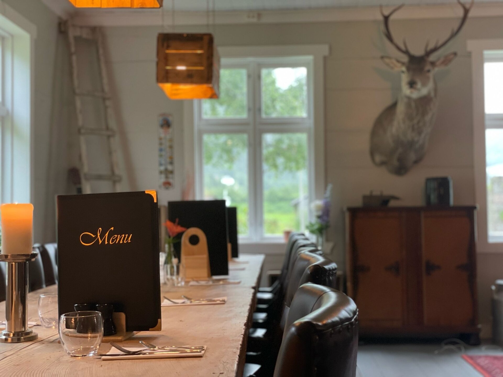 Rothirsch - Norwegen - Bild 4