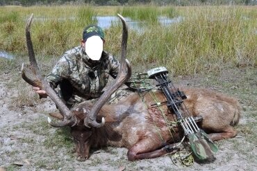 Banteng, Rusa - & Axis-Hirsch / Australien - Bild 2