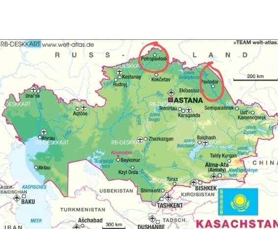 Sibirischer Rehbock und Elch - Kombojagd - Kasachstan - Bild 2