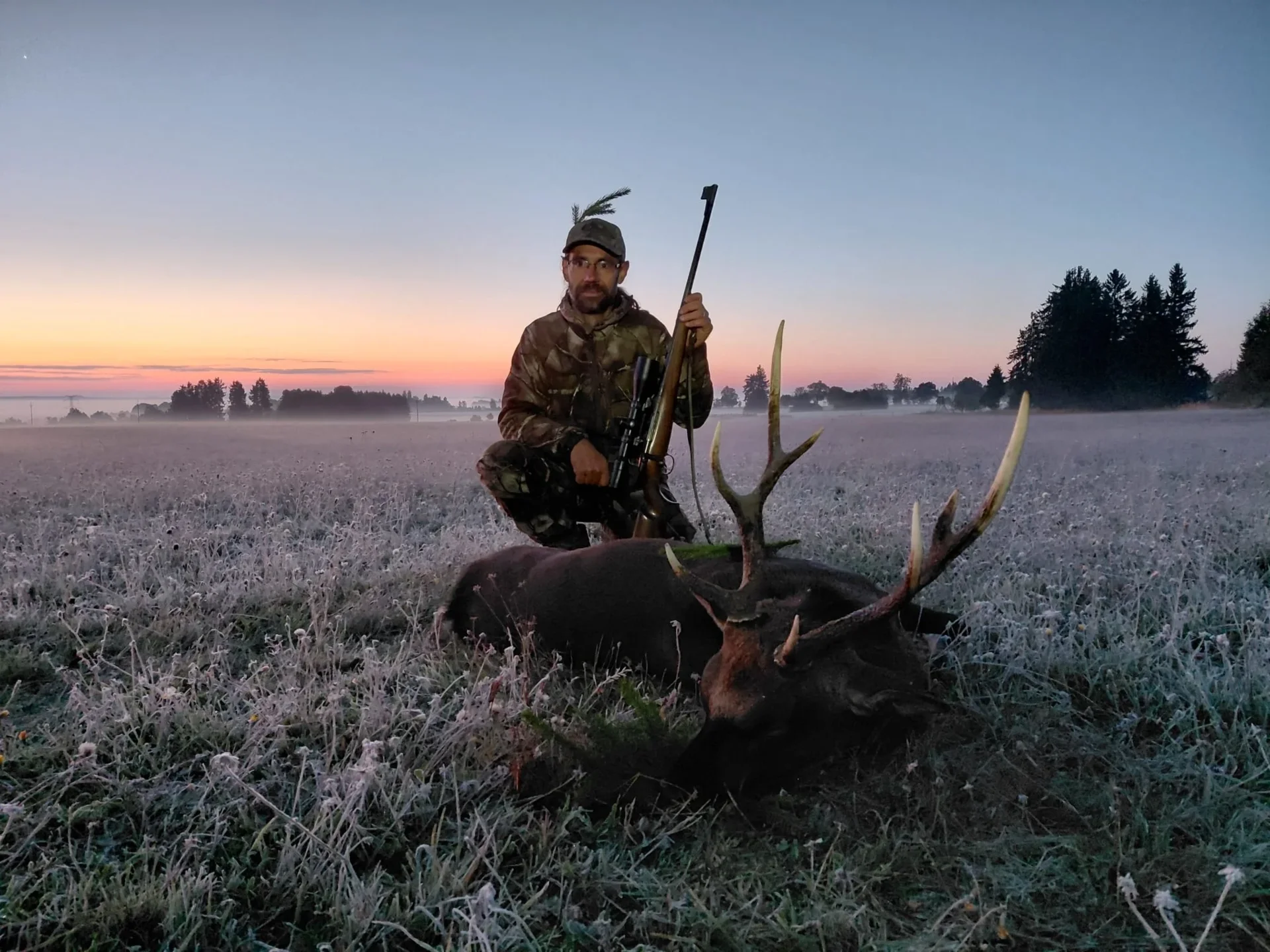 Sika-Hirsch-Jagd/Tschechien