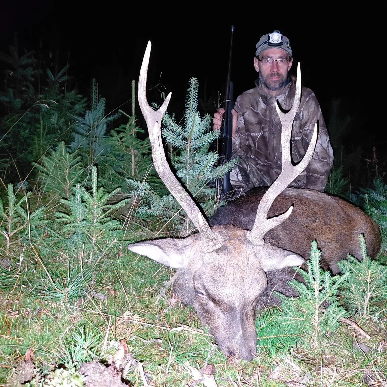 Sika-Hirsch-Jagd/Tschechien - Bild 2