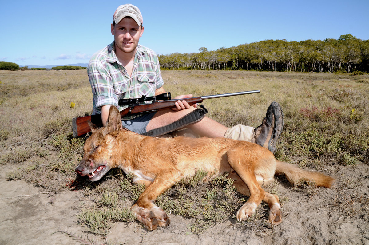 Starke Damhirsche - Italien - Bild 2