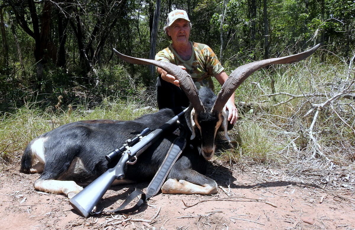 Starke Damhirsche - Italien - Bild 3