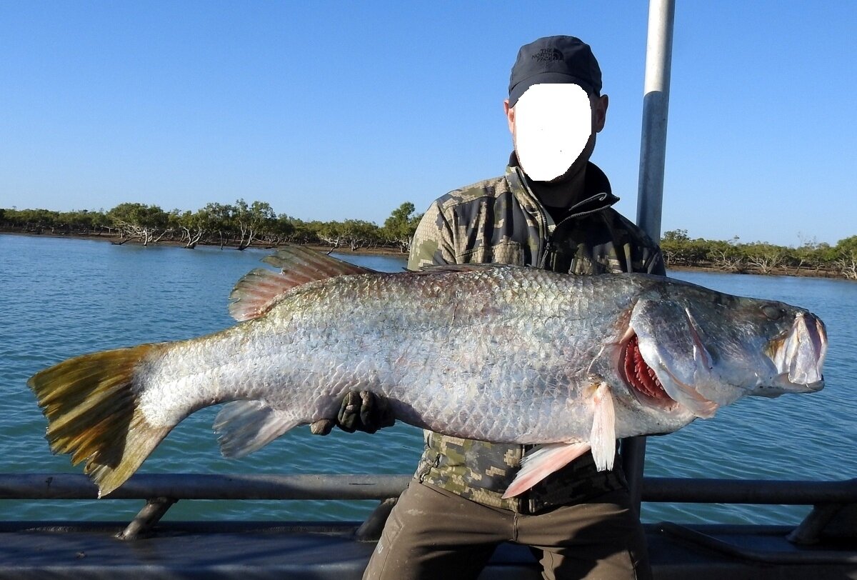 Starke Damhirsche - Italien - Bild 4