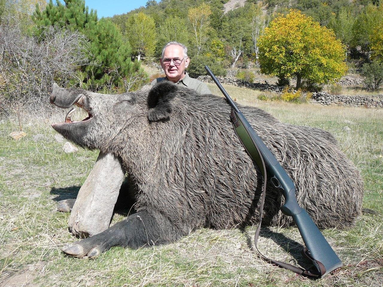Starke Keiler - Türkei - Bild 2