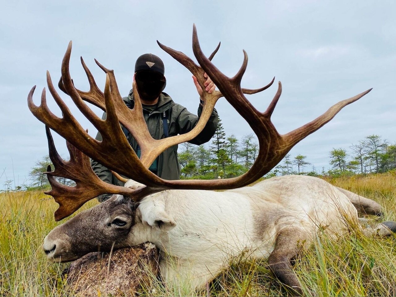 Waldkaribu-Jagd - Neufundland - Kanada