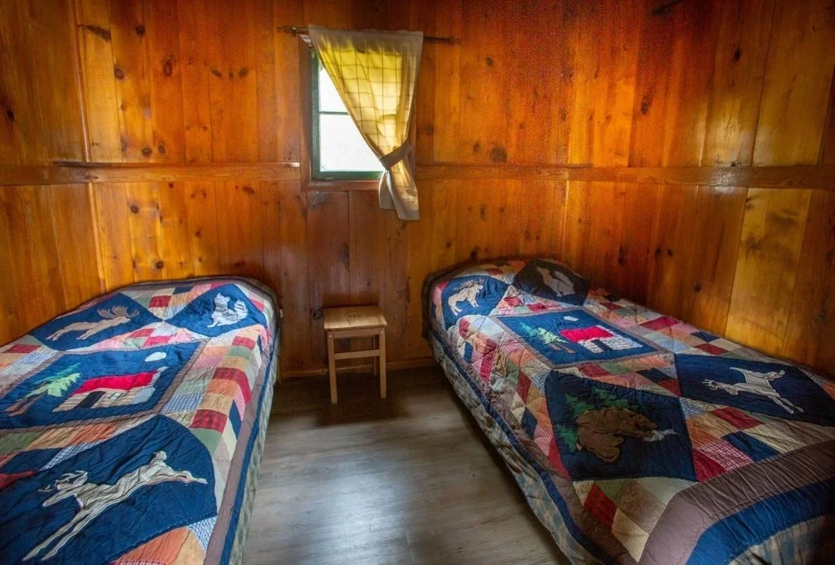 Weisswedelhirsch - Quebec / Kanada - Bild 4