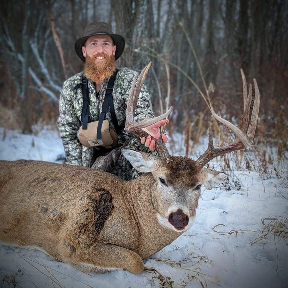 Weisswedelhirsch - Elch-Kombo - Alberta - Kanada