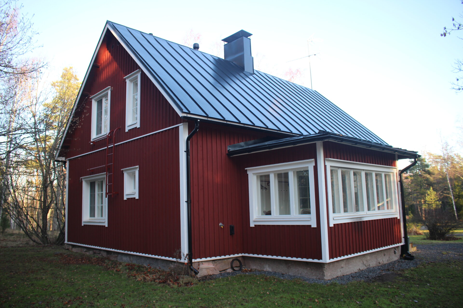 Weisswedelhirsch - Bromarv - Finnland (Süden) - Bild 3